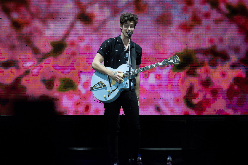 Duet Of Barely Legal Skinny - Tim Finn Review: Shawn Mendes - In Kansas City